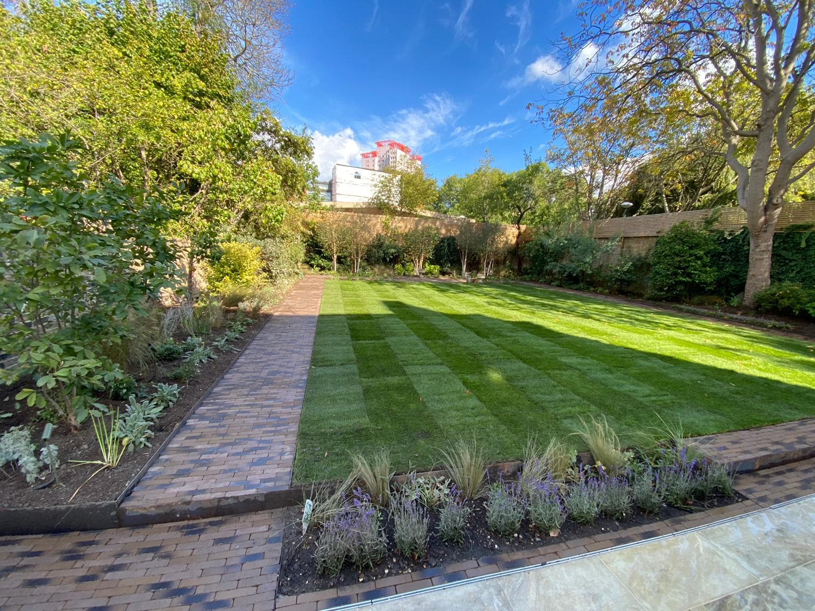 New lawn framed by corten steel edging and a dutch brick pathway with newly established gardens and trees